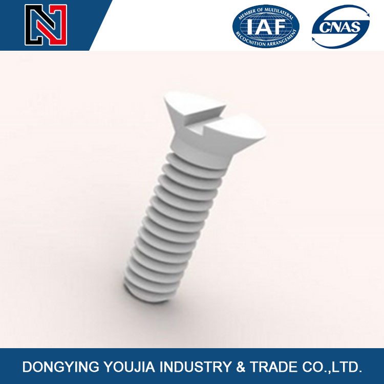 Flat Countersunk Head Slotted Machine Screws